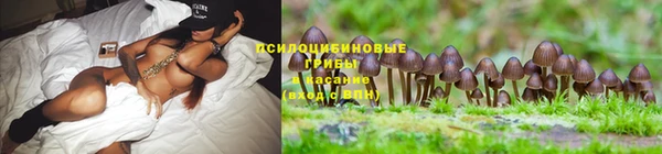 MESCALINE Нягань