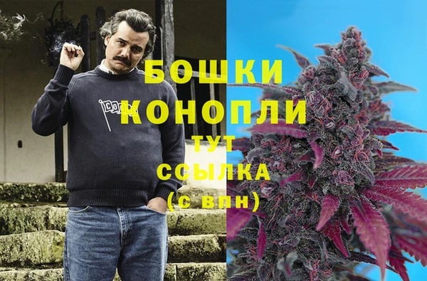 ПСИЛОЦИБИНОВЫЕ ГРИБЫ Осташков