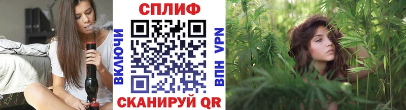 Канабис семена  Опочка 